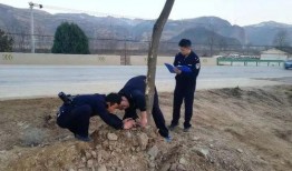 甘肃西和县爆料事件最新,揭开乡村乱象背后的真相